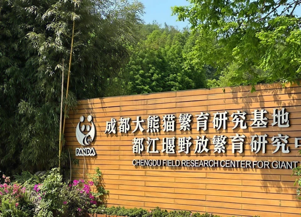 都江堰中華熊貓谷門票(隸屬成都大熊貓繁育基地野放區)