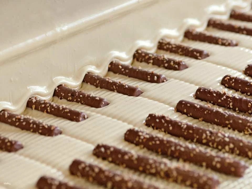 Ticket Chocolarium Flawil