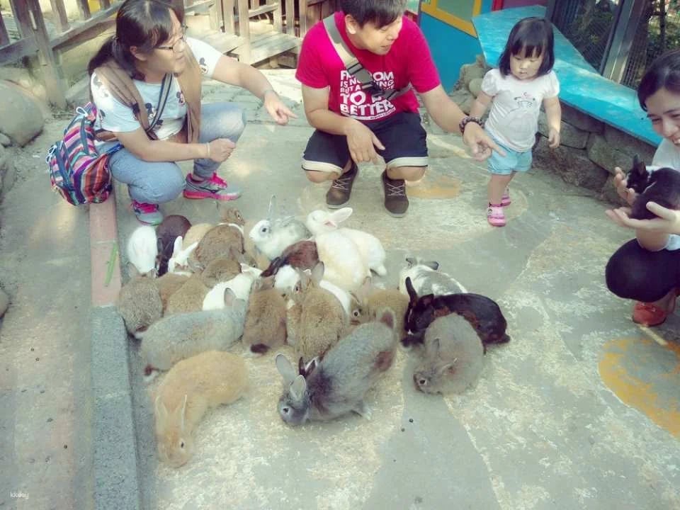Tickets for Changhua Tonight Starry Night Leisure Farm