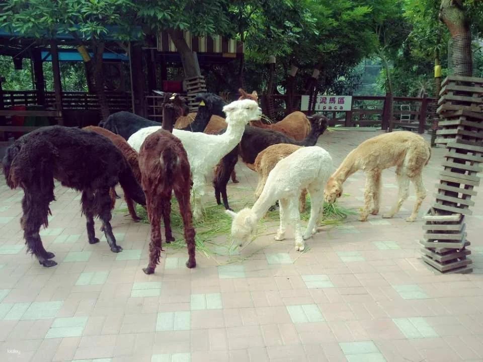Tickets for Changhua Tonight Starry Night Leisure Farm