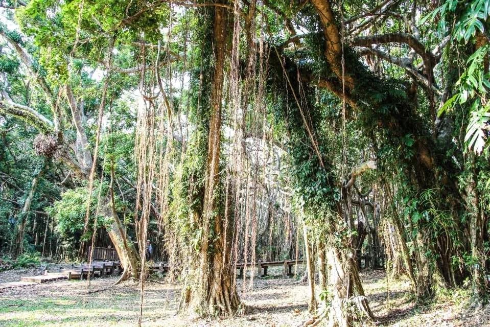 Tickets for Kenting National Forest Recreation Area & Eluanbi Park, Pingtung
