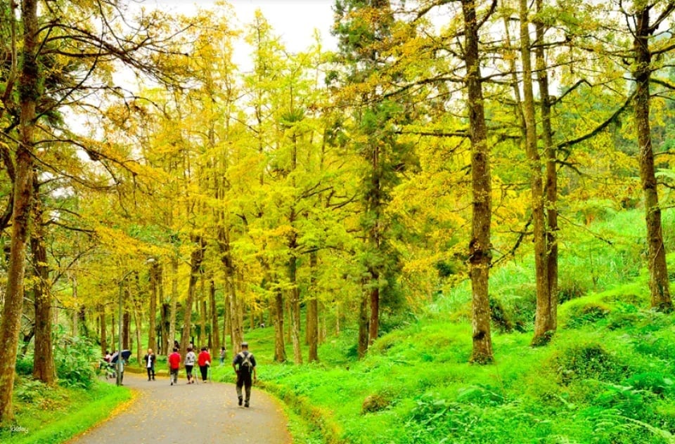 Tickets for Nantou Xitou Nature Education Park. Package