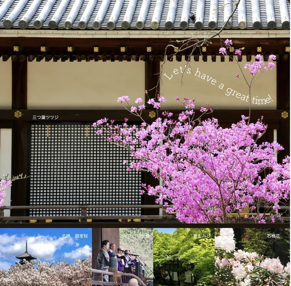 Tickets for the Ninna-ji Temple Omuro Flower Festival & Garden Visit in Kyoto, Japan
