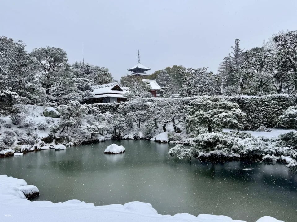 Tickets for the Ninna-ji Temple Omuro Flower Festival & Garden Visit in Kyoto, Japan