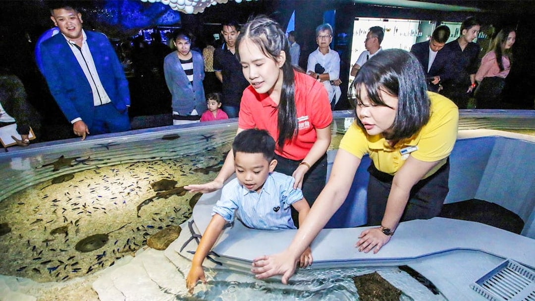 Aquaria Phuket Tickets: Thai Residents