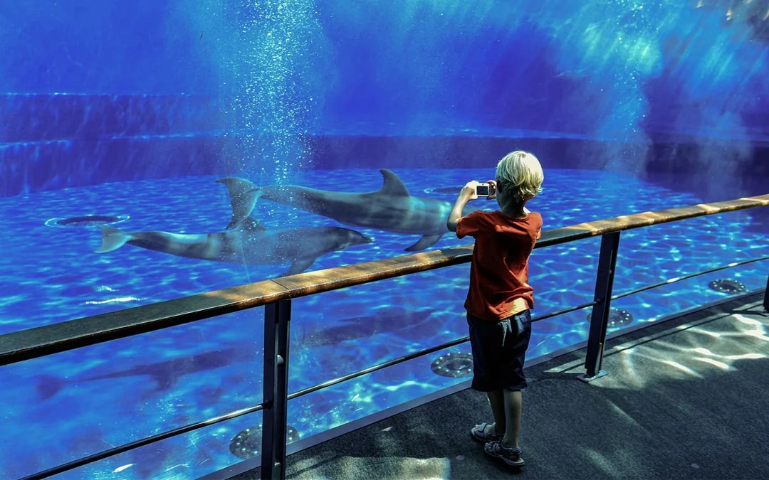 Tickets to Genoa Aquarium with Lunch Image 8