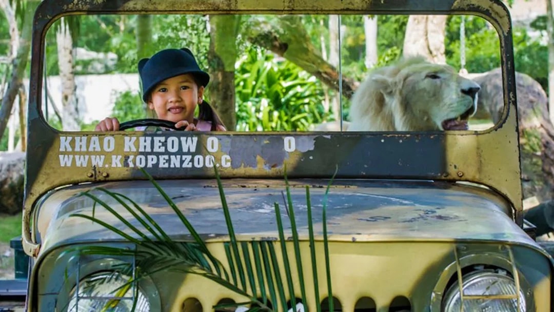 Child in a jeep with a lion at Khao Kheow Open Zoo, Thailand.