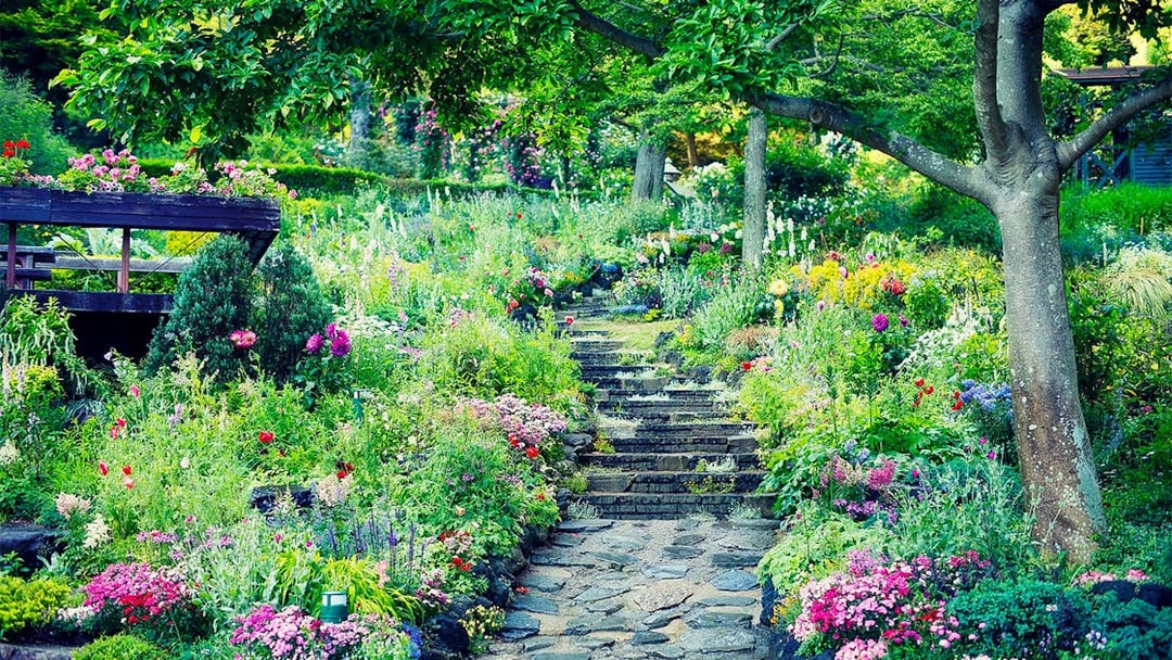 Stone path through vibrant flowers at Kobe Nunobiki Herb Gardens, Japan.