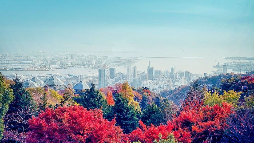 Kobe cityscape view from Nunobiki Herb Gardens with colorful autumn foliage and ropeway.