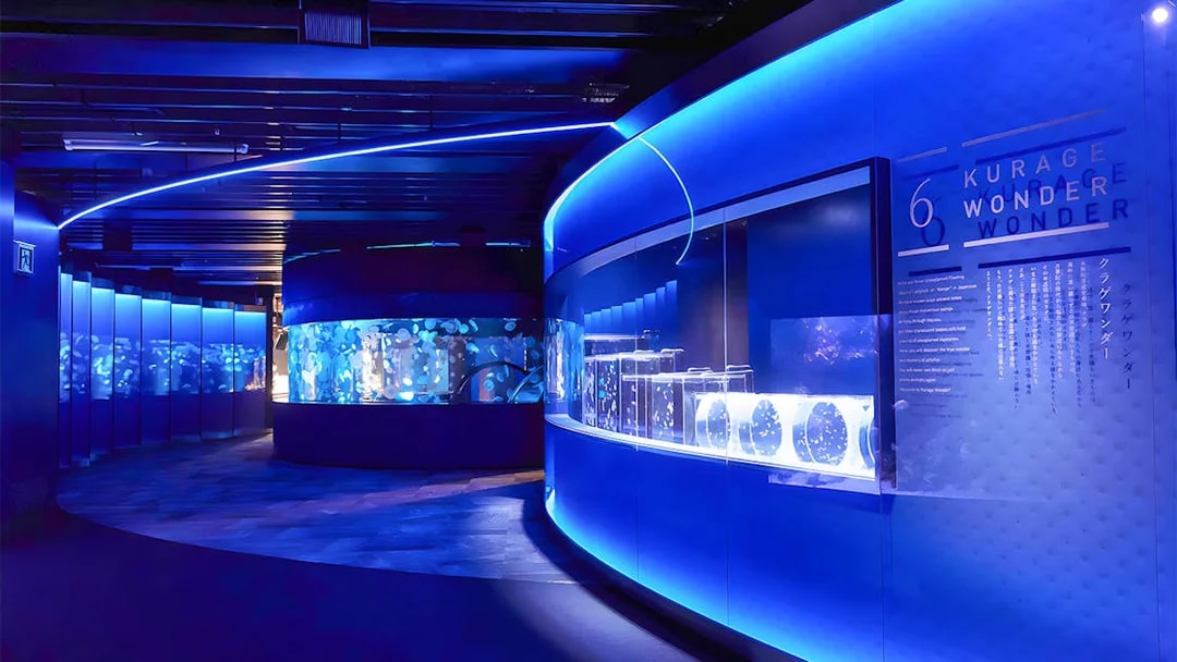 Jellyfish exhibit inside Kyoto Aquarium with illuminated tanks and blue lighting.