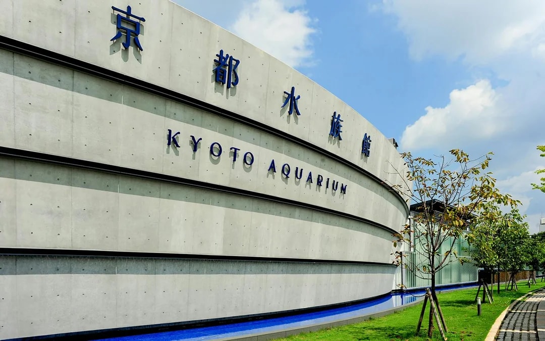 Tickets to Kyoto Aquarium Image 3