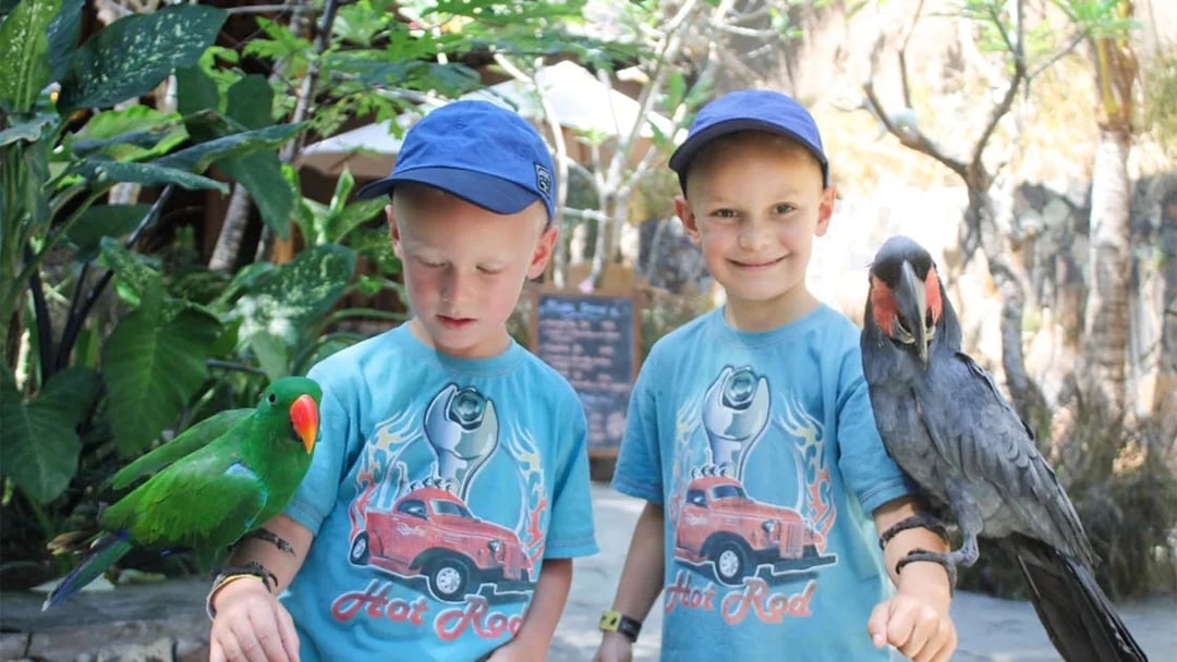 Boys holding colorful parrots at Lombok Wildlife Park.