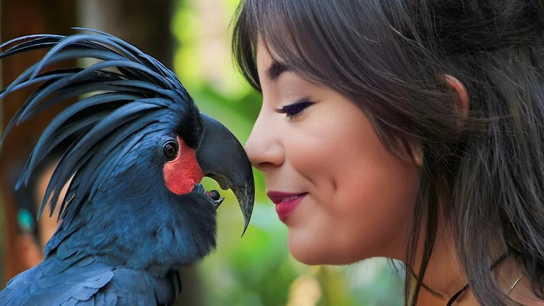 Person interacting with a black parrot at Lombok Wildlife Park.