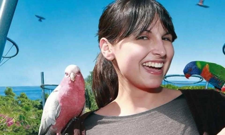 Tickets to Loro Parque in Tenerife