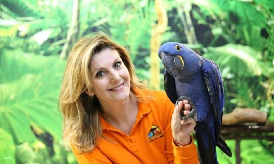 Tickets to Loro Parque in Tenerife