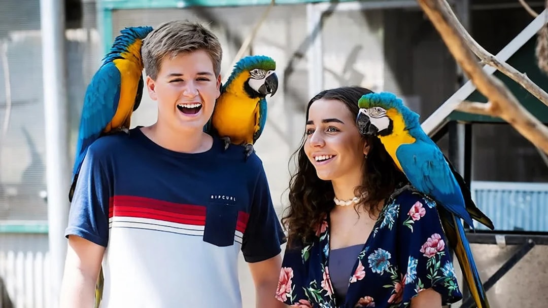 Visitors interacting with colorful parrots at Maleny Botanic Gardens and Bird World.