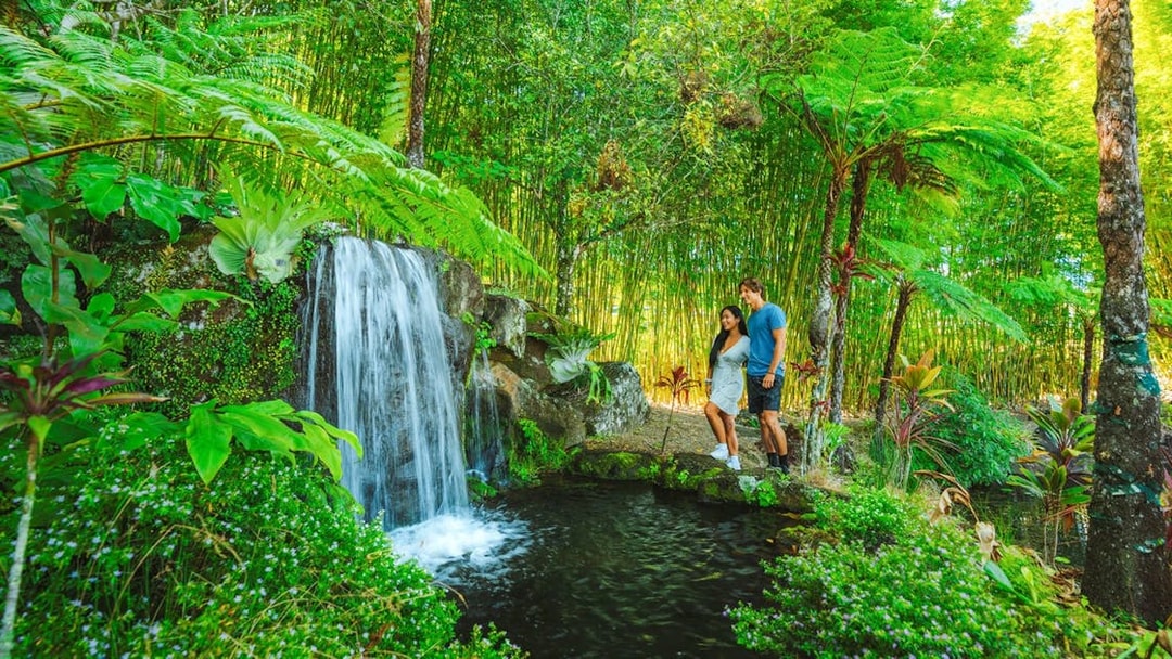 Couple exploring waterfall at Maleny Botanic Gardens, surrounded by lush greenery.