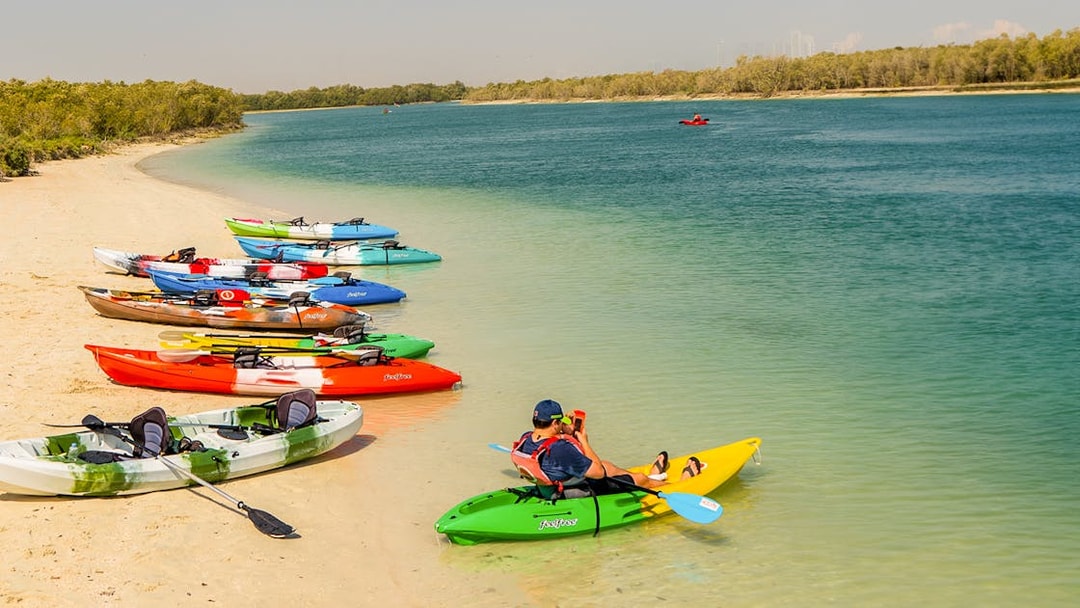 Kayaks lined up on a sandy beach for a mangrove kayaking tour in Abu Dhabi.