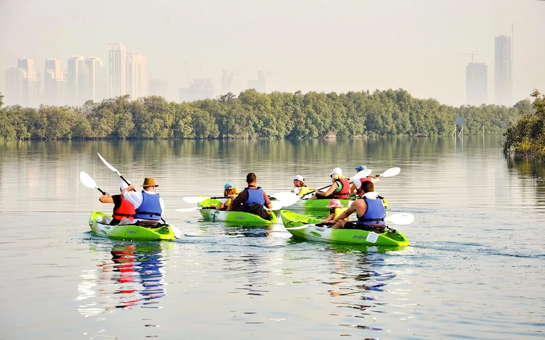 Tickets to Mangrove Kayaking in Abu Dhabi Image 3