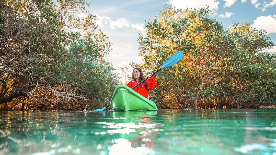 Tickets to Mangrove Kayaking in Abu Dhabi