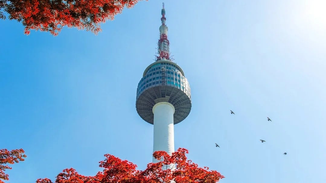 N Seoul Tower with red autumn leaves and birds in the sky.