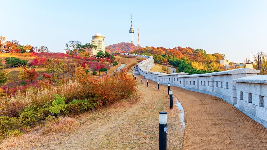 Pathway leading to N Seoul Tower surrounded by autumn foliage in Seoul, South Korea.