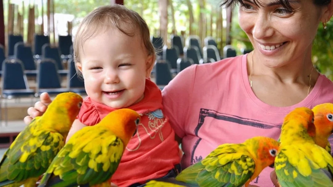 Child and adult interacting with colorful parrots at Phuket Bird Park.