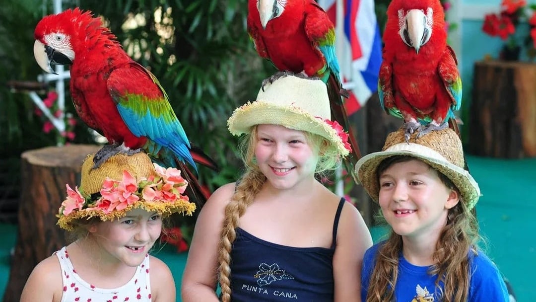 Tickets to Phuket Bird Park