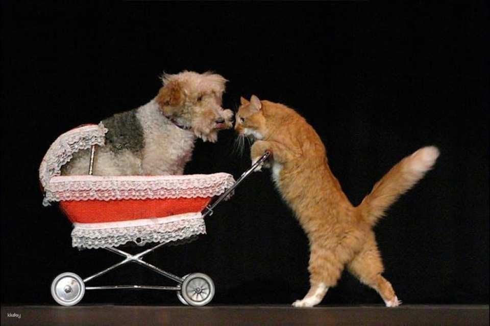 Tickets to Popovich Comedy Pet Theater