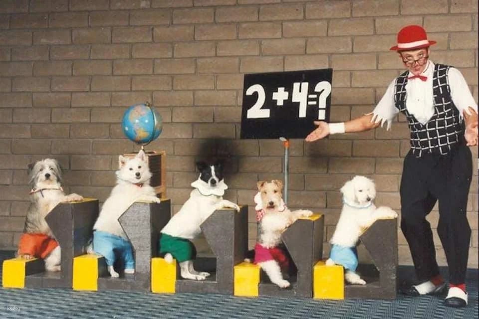 Tickets to Popovich Comedy Pet Theater