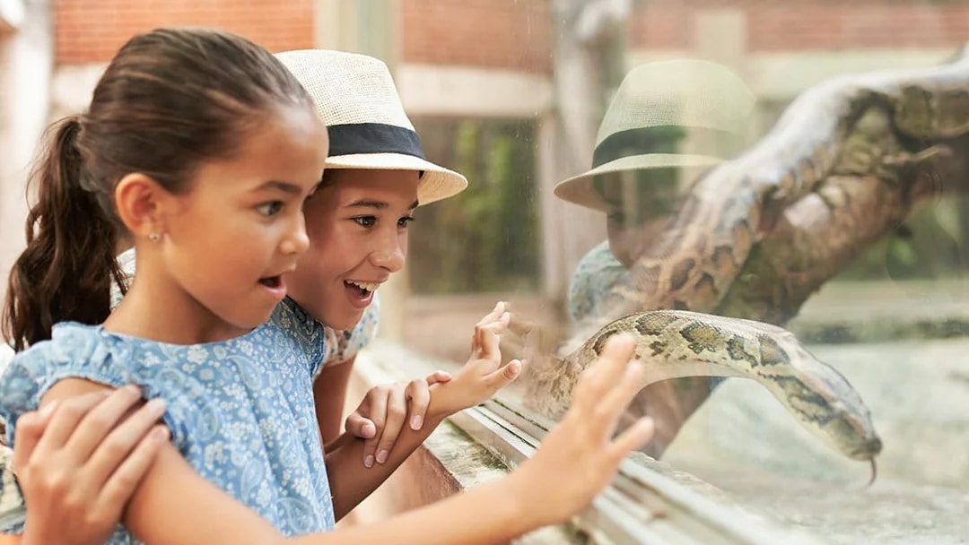 Children observing a snake at Rome Bioparco.