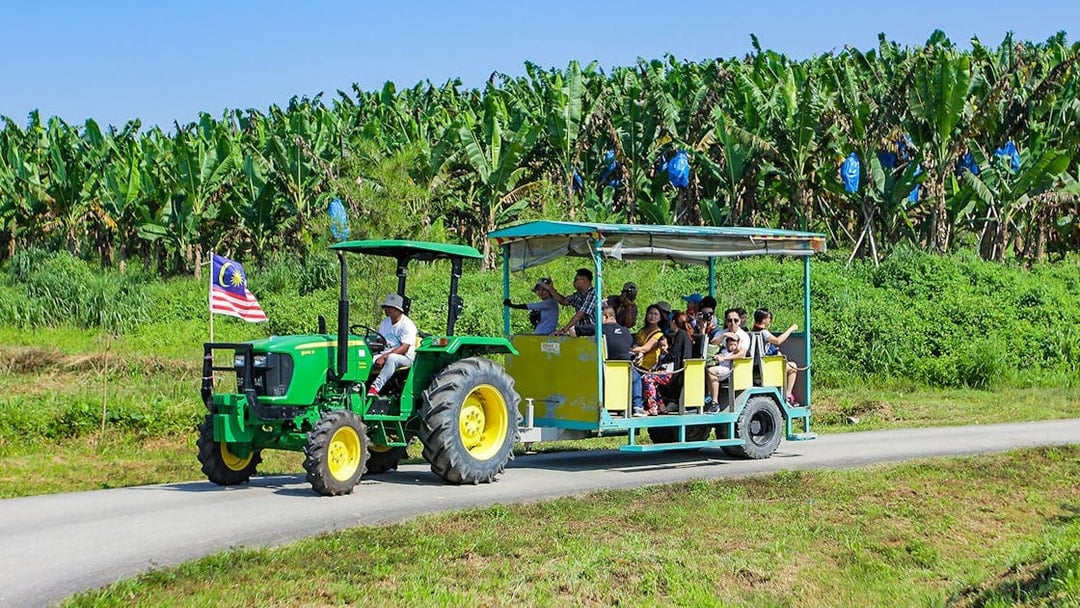 Tickets to Selangor Fruit Valley