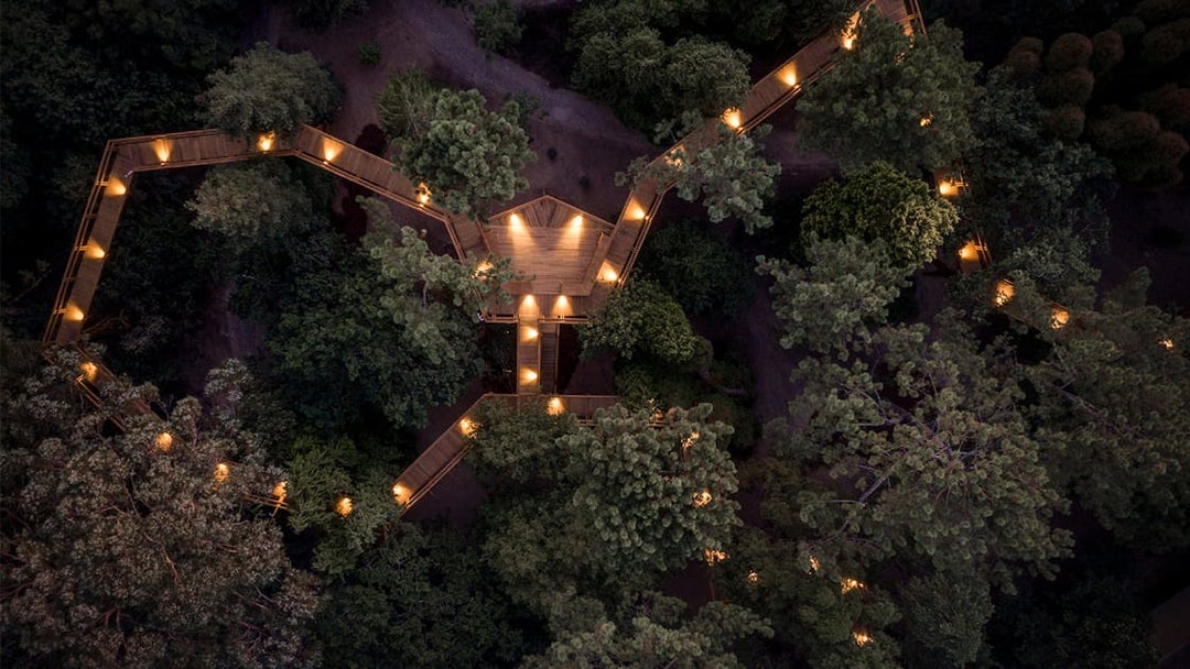Aerial view of illuminated treetop walkway at Serralves Park, Porto, Portugal.