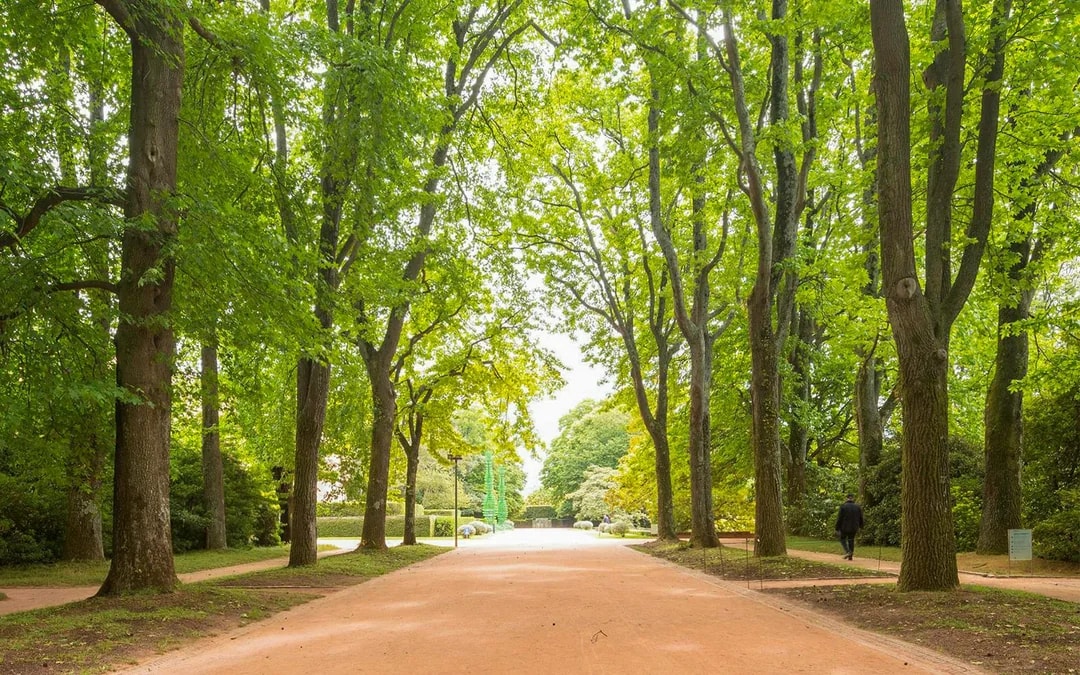 Tickets to Serralves Foundation Image 2