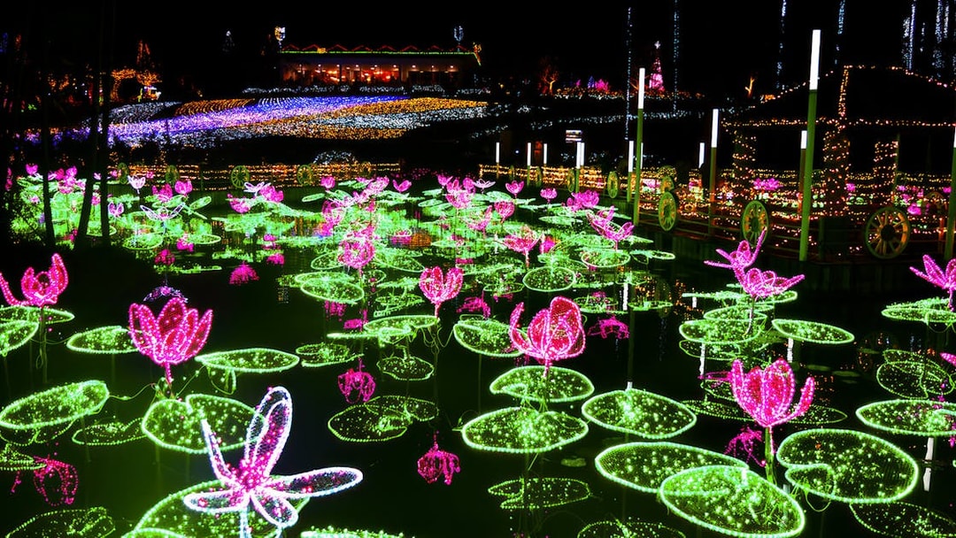 Illuminated lotus flowers at night in Southeast Botanical Gardens, Japan.