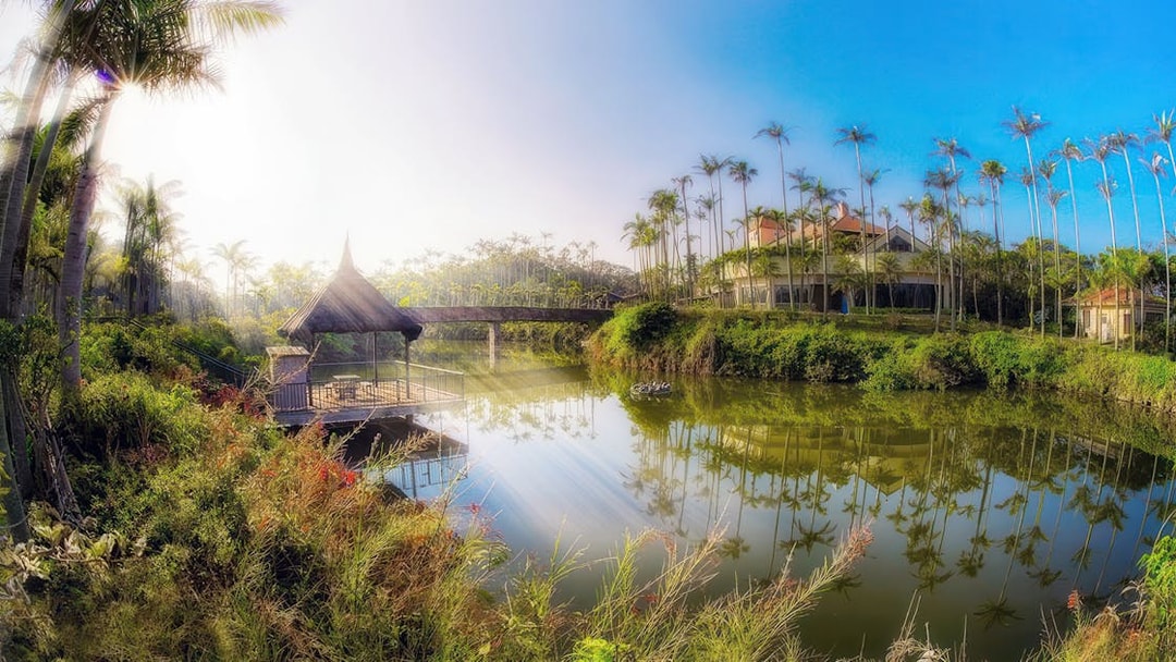 Southeast Botanical Gardens with palm trees and a thatched gazebo by a serene pond.