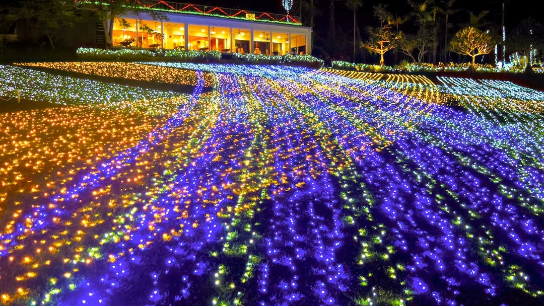 Colorful light display at night in Southeast Botanical Gardens, Okinawa.