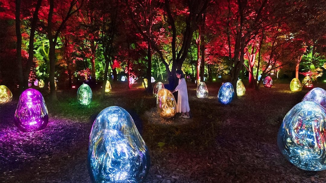 Tickets to teamLab Botanical Garden in Osaka