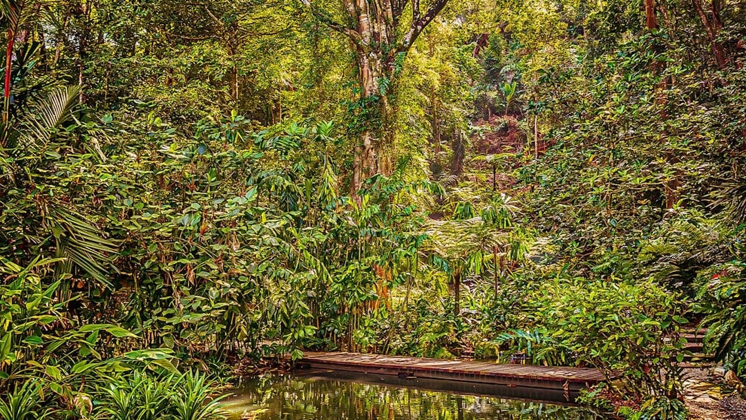 Tropical Spice Garden Penang with lush greenery and a wooden walkway over a pond.
