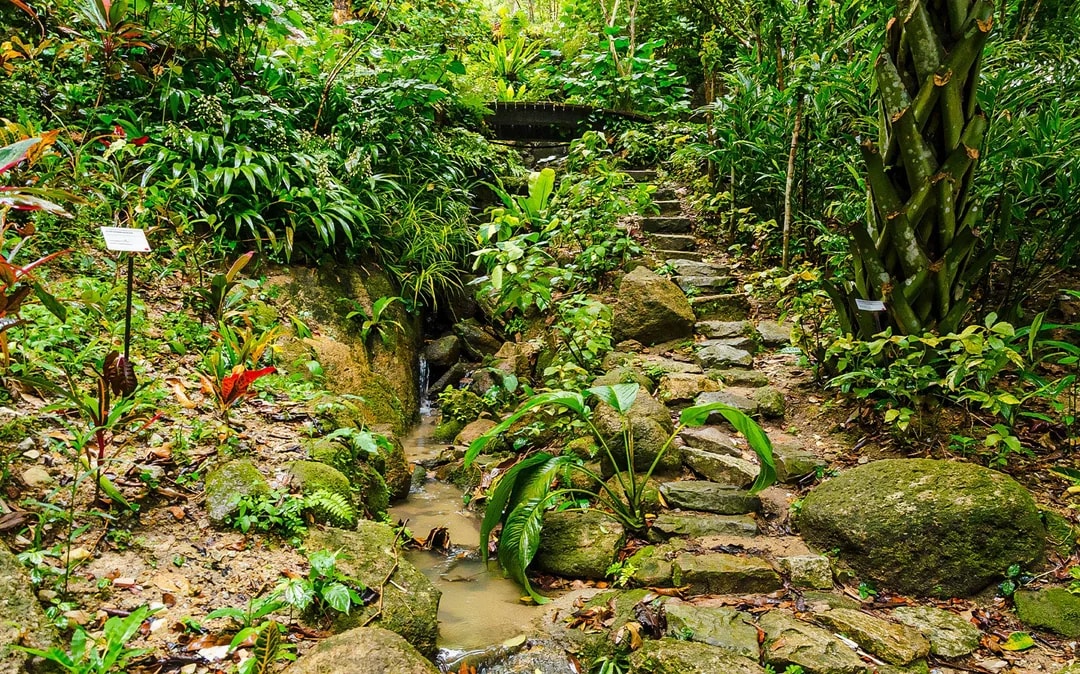 Tickets to Tropical Spice Garden Penang Image 6