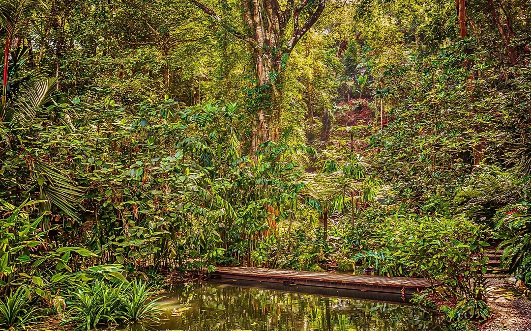 Tickets to Tropical Spice Garden Penang Image 1
