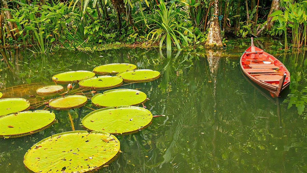 Lily pads and a wooden boat on a pond at Tropical Spice Garden, Penang.