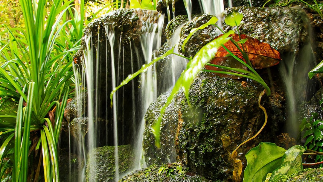 Waterfall surrounded by lush greenery at Tropical Spice Garden Penang.