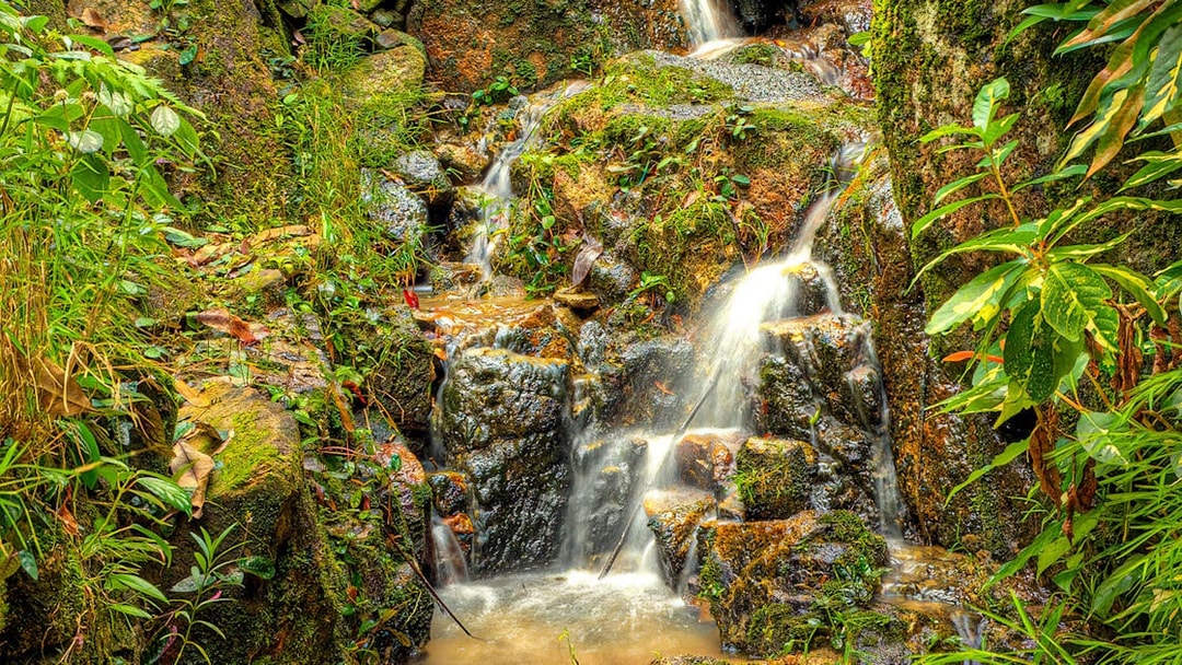 Waterfall surrounded by lush greenery at Tropical Spice Garden Penang.