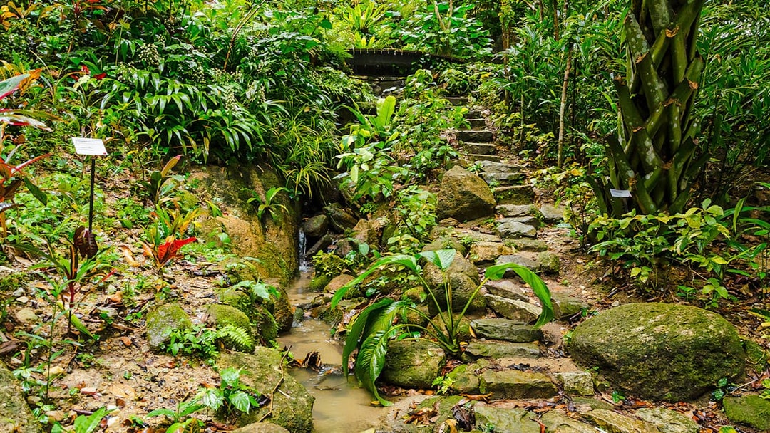 Stone path and lush greenery at Tropical Spice Garden, Penang.