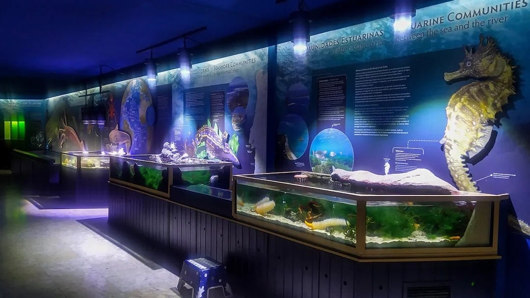 Aquarium exhibits with marine life displays at Vasco da Gama Aquarium, Lisbon.