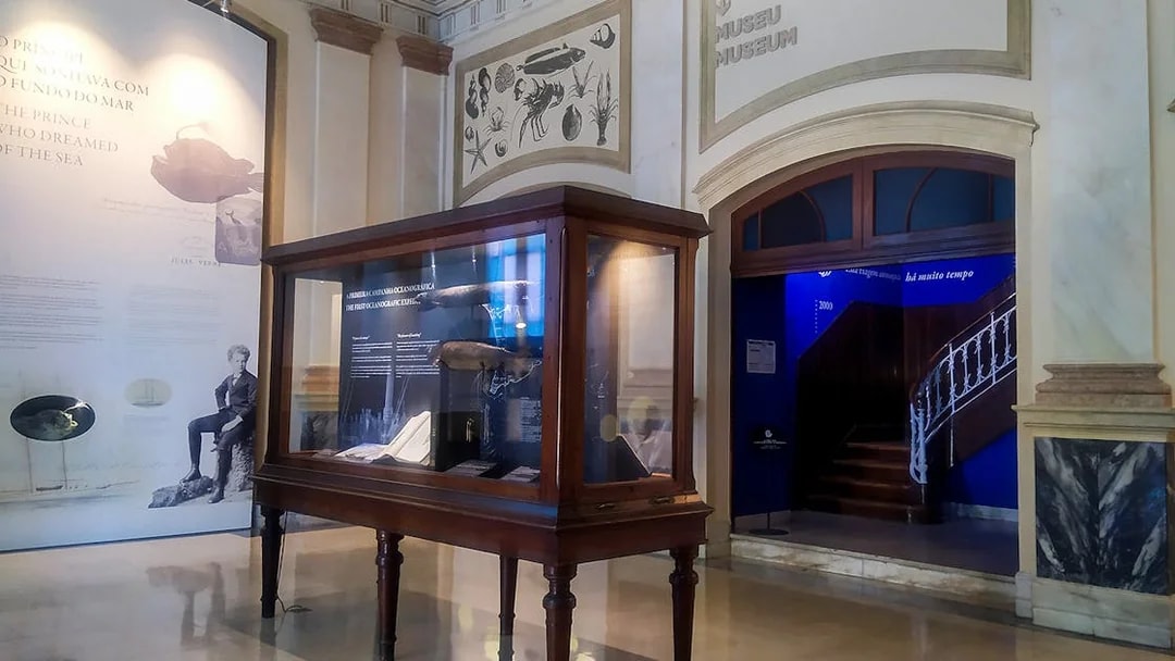 Vasco da Gama Aquarium exhibit with historical marine artifacts and informational displays.