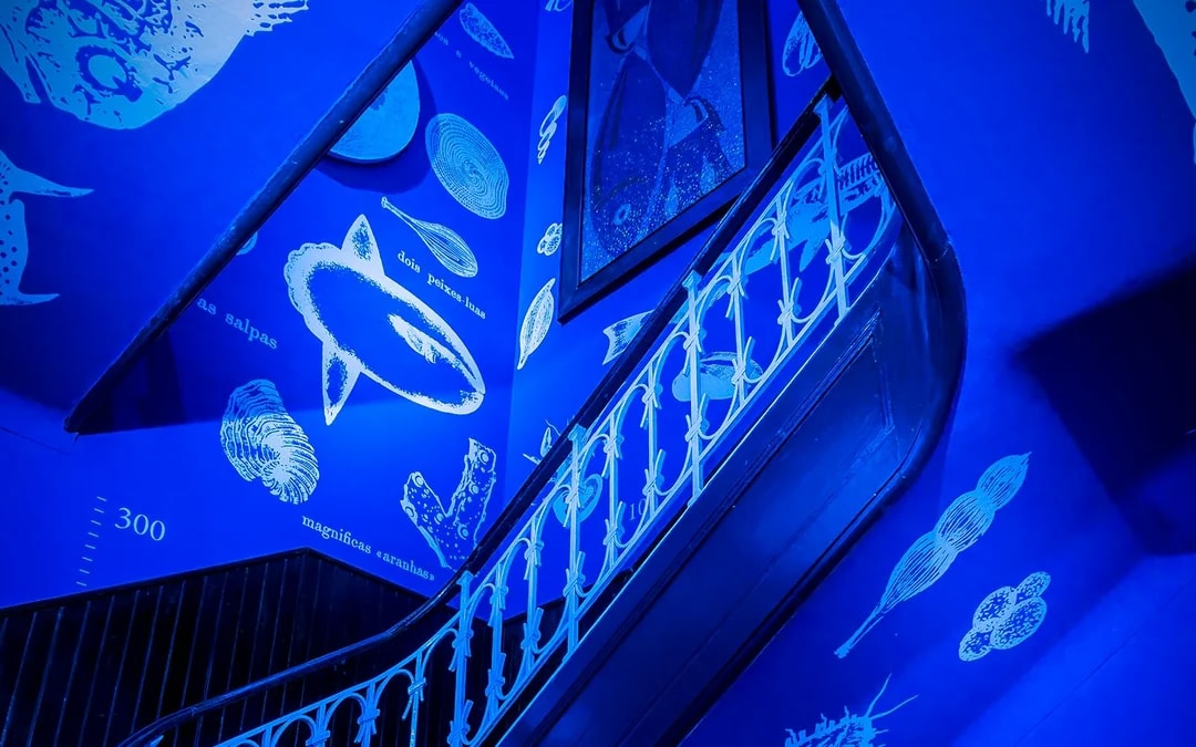 Tickets to Vasco da Gama Aquarium in Lisbon Image 5