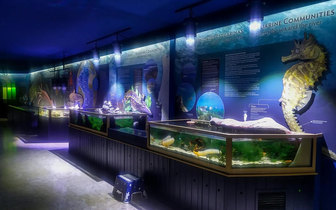 Tickets to Vasco da Gama Aquarium in Lisbon Image 1