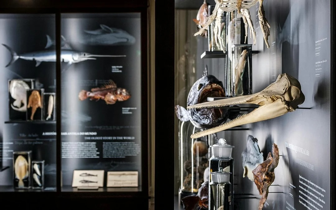 Tickets to Vasco da Gama Aquarium in Lisbon Image 3